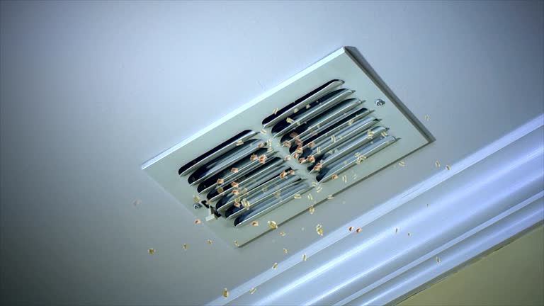Best HVAC Duct Inspection Services  in Marvin, NC